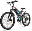 AOSTIRMOTOR Electric Bicycle 500W Motor 20" Fat Tire With 48V/15Ah Li-Battery S05