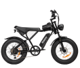 Off-road Electric Bike 1000W 20ah Black