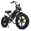 JANSNO Electric Bike 20" x 4.0 Electric Bike for Adults with 750W Brushless Motor, Long-Lasting 48V 14Ah Removable Battery, 7-Speed Transmission