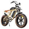 Electric Bike 20" x 4.0 Electric Bike for Adults with 750W Brushless Motor, 48V 34Ah Removable Dual Battery, Extra Long Cruising Range