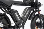 Dual Motor E-bike 2000W 52V 40Ah Fat Tire E-bike