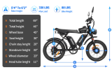 Dual Motor E-bike 2000W 52V 40Ah Fat Tire E-bike