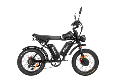 Dual Motor E-bike 2000W 52V 40Ah Fat Tire E-bike