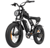 Electric Bike Ridstar Q20 MINI Speed 50km/h 1000W 48V15AH