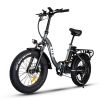 ZHENGBU EUY F7 20 750W 48V 16AH Shimano 7 Speed Folding Fat Tire Electric Bike