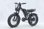 Ebike,750W Motor,48V15.6Ah Battery,20 Inches,Maximum Speed 45KM