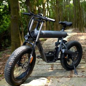 Road E-Bike 20'x4.0'  Fat Tire 500W with 48V20AH Li-ion Battery, Shimano 7 Speed E-Bike Suitable for city beach snow off-road