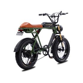 AKEZ S1 750W 48V 20 Inch Flat Tire Electirc Bicycle (BATTERY: 13AH, Color: Green)