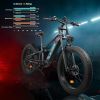 Electric Bike 1000W Motor Fat Tire 26x4 Mountain Bike